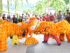 CNY Acrobatic Lion Dance